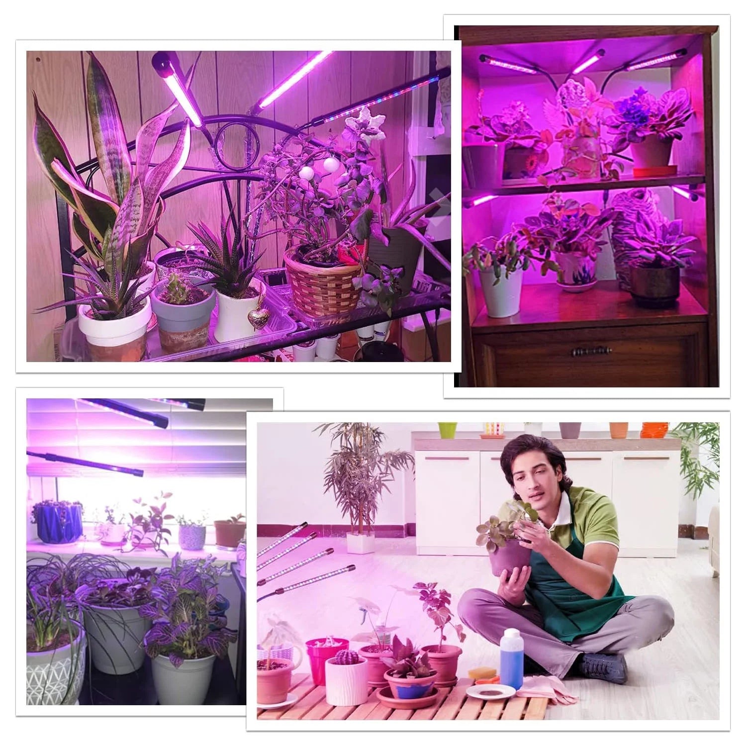 Grow Lights for Indoor Plants, Four Head 80  with Full Spectrum, Adjustable Gooseneck, Auto on off Timing 4 8 12Hrs